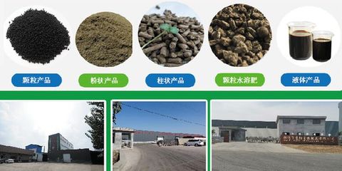 京陽生物致力打造大型純植物源有機肥生產(chǎn)基地，引領綠色農(nóng)業(yè)新風尚