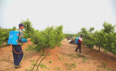 世代海洋生物科技 以科技與創(chuàng)新為雙翼，引領(lǐng)海帶行業(yè)與生物有機肥研發(fā)新篇章