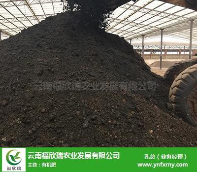 個(gè)舊微生物有機(jī)肥推薦 福欣瑞農(nóng)業(yè)，創(chuàng)新研發(fā)引領(lǐng)綠色農(nóng)業(yè)新篇章