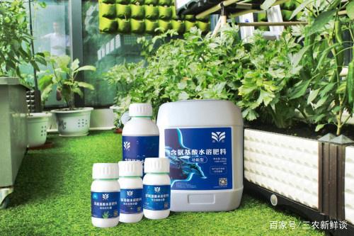 皇圖生態農業 立足魚肽有機肥自主研發，引領綠色種植新革命